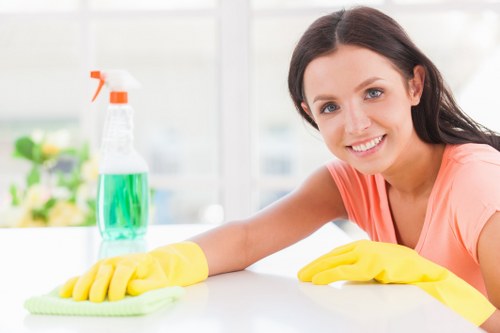 Carpet cleaning team working sustainably in Wanstead
