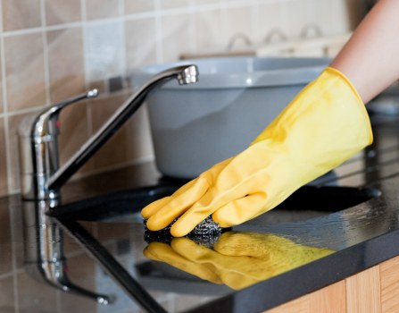 Living room carpet pet stain odour removal in Wanstead