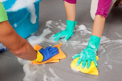 Deep cleaning carpet after pet accident in Wanstead