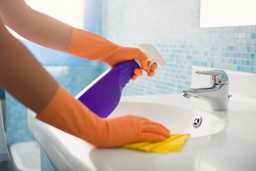Secure payment interface for Wanstead Carpet Cleaners