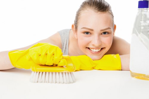 Deep upholstery cleaning process for a living room sofa in Wanstead