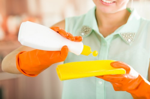 Professional carpet cleaning appointment with furniture protected during treatment