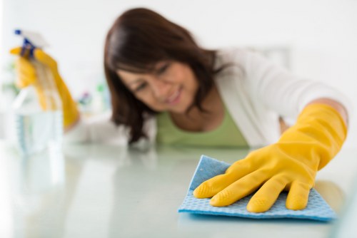 Deep carpet cleaning equipment in a Wanstead home