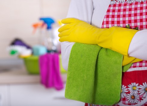 Consultation over a carpet cleaning issue during a service review