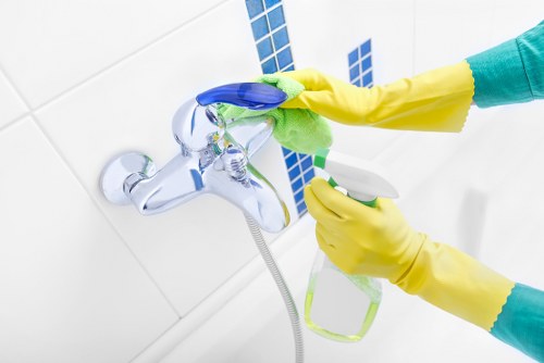 Enzyme cleaning for pet urine smell in Wanstead home