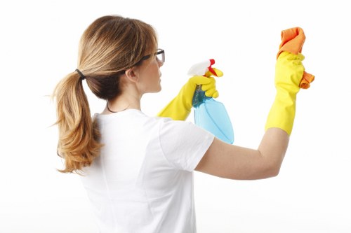 Comparing DIY cleaning and professional stain removal services