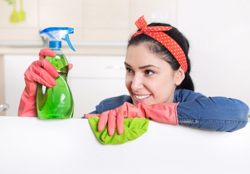 Specialist cleaning process for a mattress in Wanstead