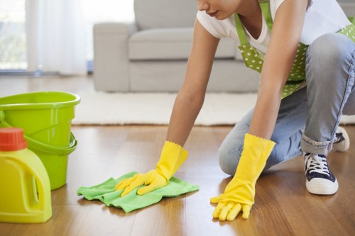 Stain removal and sofa restoration service for Wanstead homes